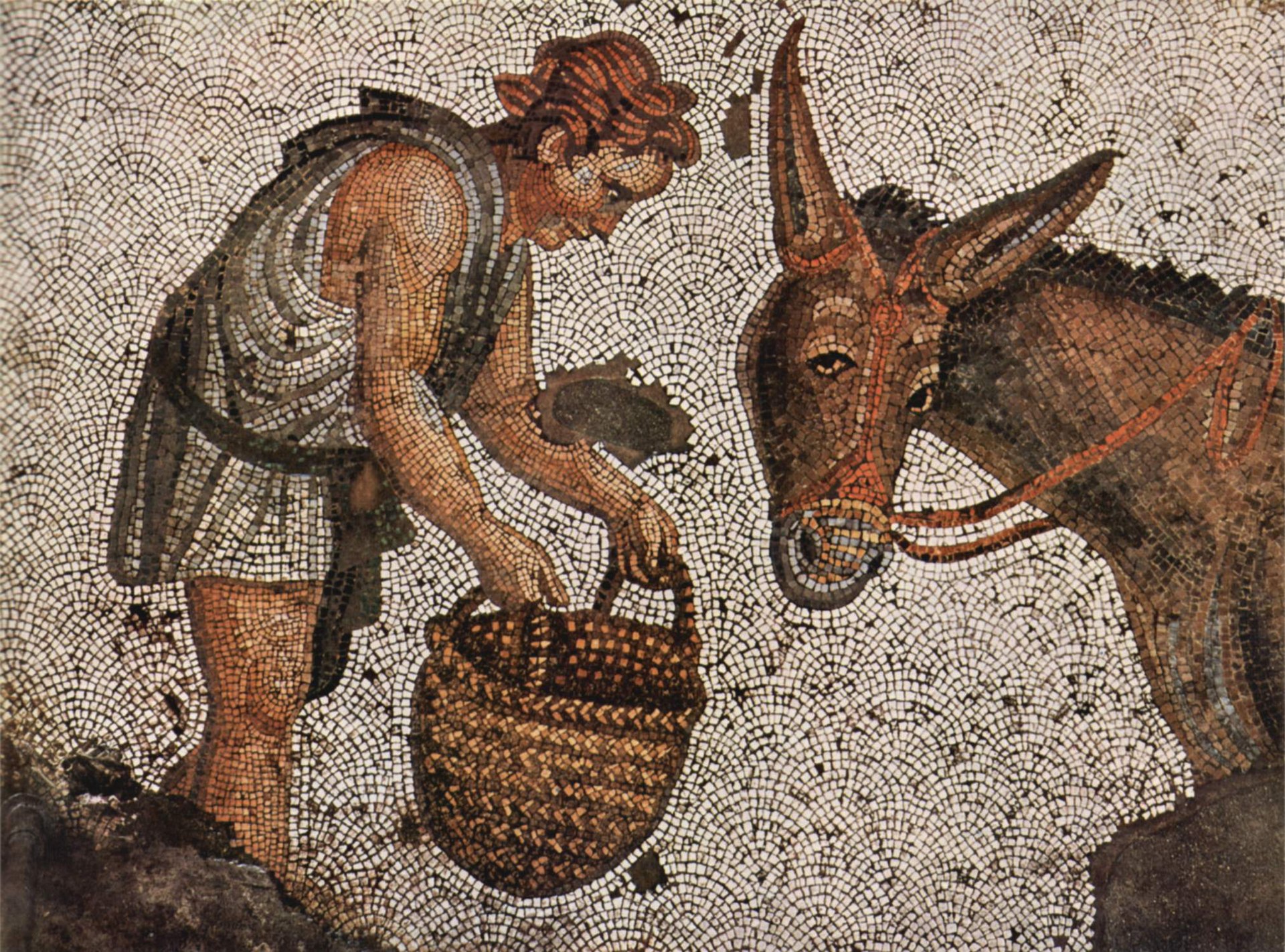 Apuleio